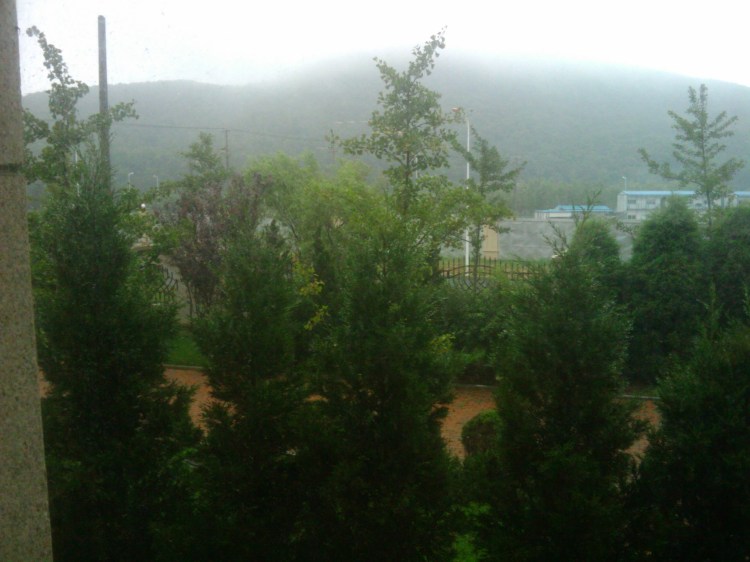 Narda Music Room View