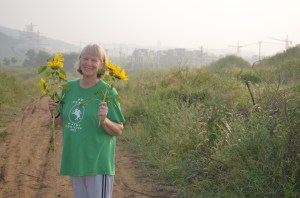 the Dutch-Australian wife in her element - holding freshly picked Sunflowers