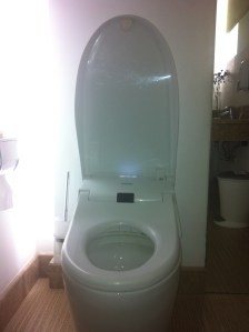The loo at the Vutup Dentist Clinic at the Shangri-La Hotel Dalian