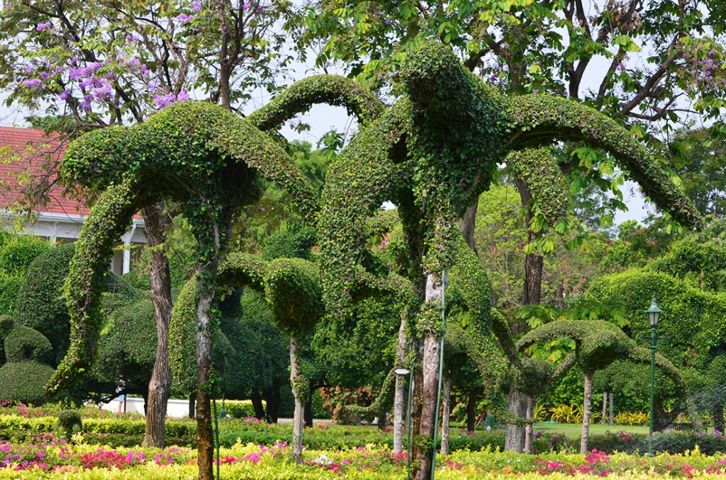 gardens at Centara