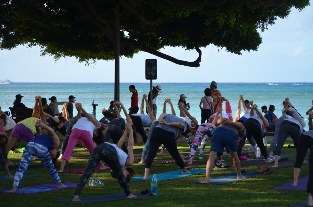 Diamond Head Park butts to the wind