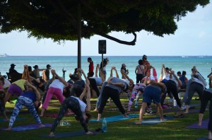 Diamond Head Park butts to the wind