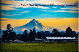 Mt. Hood