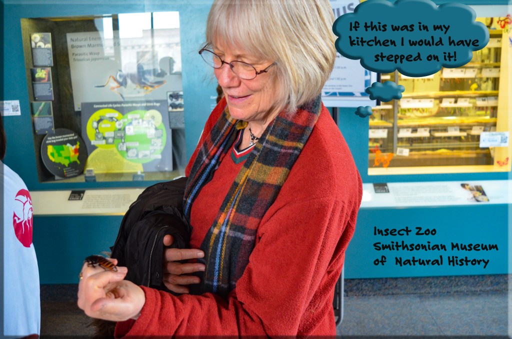 Fact Check: Washington D. C. is bugged