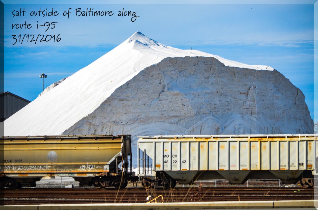 salt-and-train