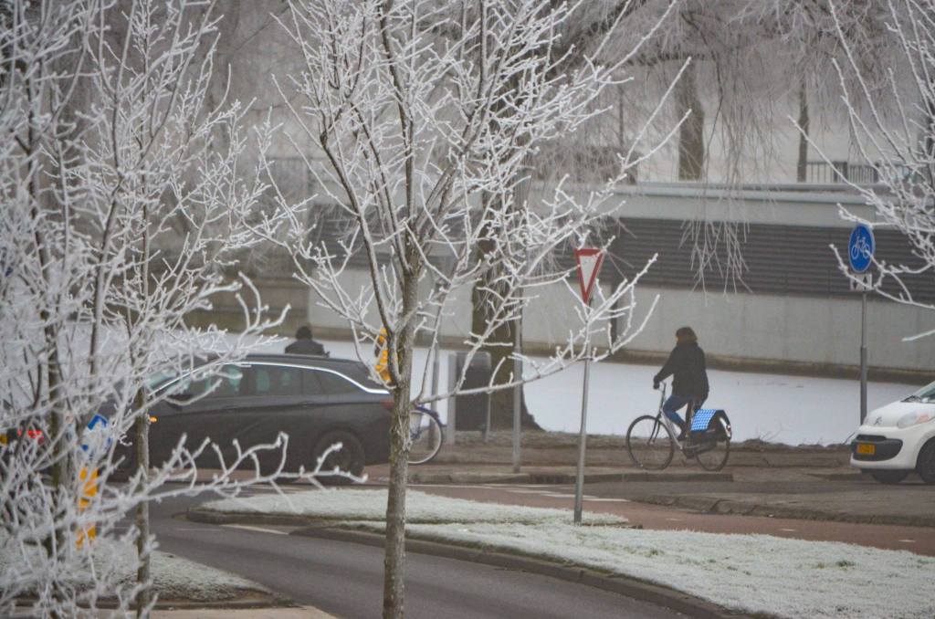 Anyway, slept all the way to Amsterdam. Met the Dutch guy, Hans, in whose house we will be living, at Schiphol. Alice had made us a delicious meal of pumpkin soup and Indonesian rice. Life is good. I slept with the aid of Chris’ American over the counter blue sleeping pills, for 12 hours straight. I don’t think I’ve ever done that before. 18 January Wednesday DAY 54 of trip Our first day in Holland. 