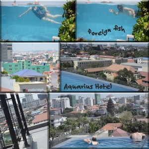 Aquarius Hotel rooftop pool