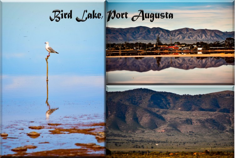 Bird Lake, Port Augusta