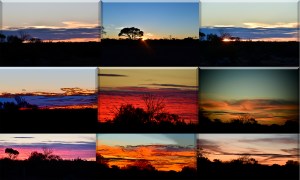 outback sunsets
