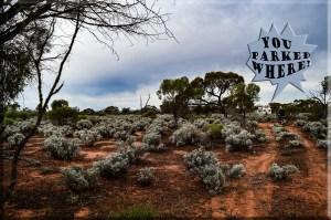 Tent Hill Camping Area South Australia