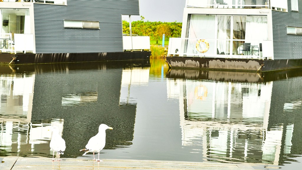 In the Viking Age, Ringkøbing Fjord was a lagune. Therefore the vikings were able to sail their ships in shelter from the wind behind a headland at Bork Havn with easy access to the seven world seas. 
