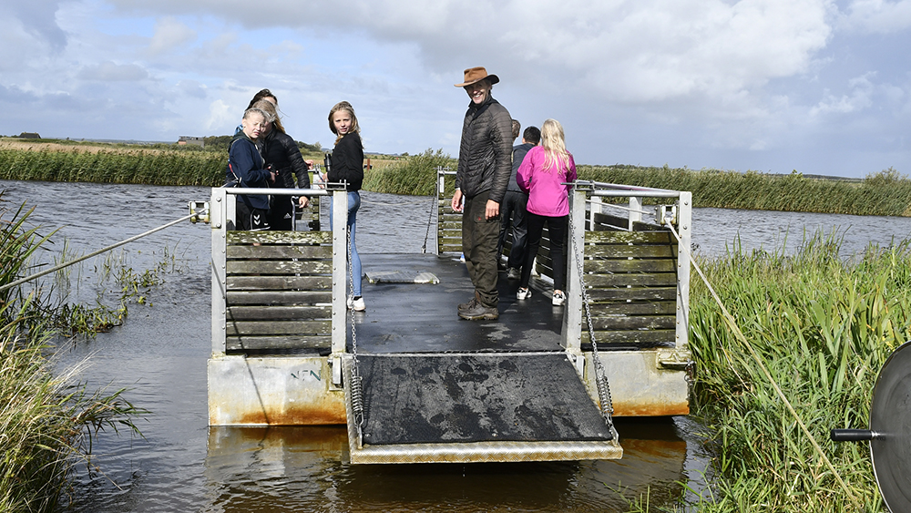 At two locations, your family can try out this area's rope-pulled ferries and thereby cross the river by hand so to speak. On the rope-pulled ferries, there is room for wheelchairs, bicycles, and strollers. In the old days, local farmers used these rope-pulled ferries to bring cattle across the river.
