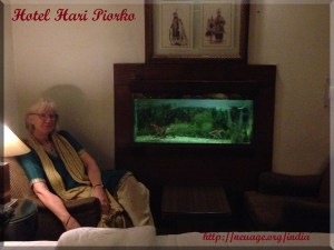 Hotel Hari Piorko in Paharganj area in the Main Bazar of Delhi, India