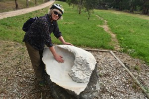 'Liquid' by Sally Wickes (2015)