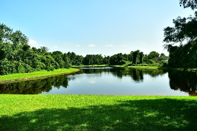 Behind Lawrence's house - our daily walk to the gym