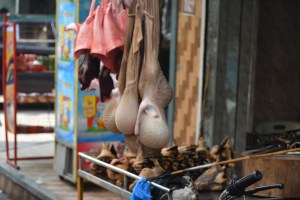 yum bull's testicals