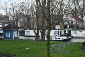 View from Pete's window