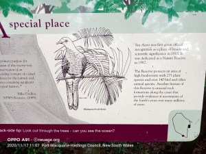 The Sea Acres National Park is a national park that is located in the Mid North Coast region of New South Wales, in eastern Australia. The 76-hectare park is situated near the town of Port Macquarie. The park is a popular tourist area with a 1.3-kilometre long boardwalk through a remnant of seaside rainforest.