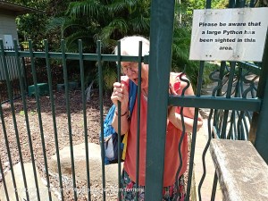 Darwin Botanic Gardens: which is more dangerous? a python or a badass wife