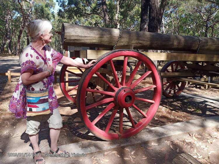 Sawmill Free Camping