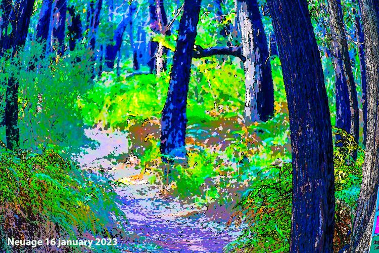 magical mystery tour - sort of