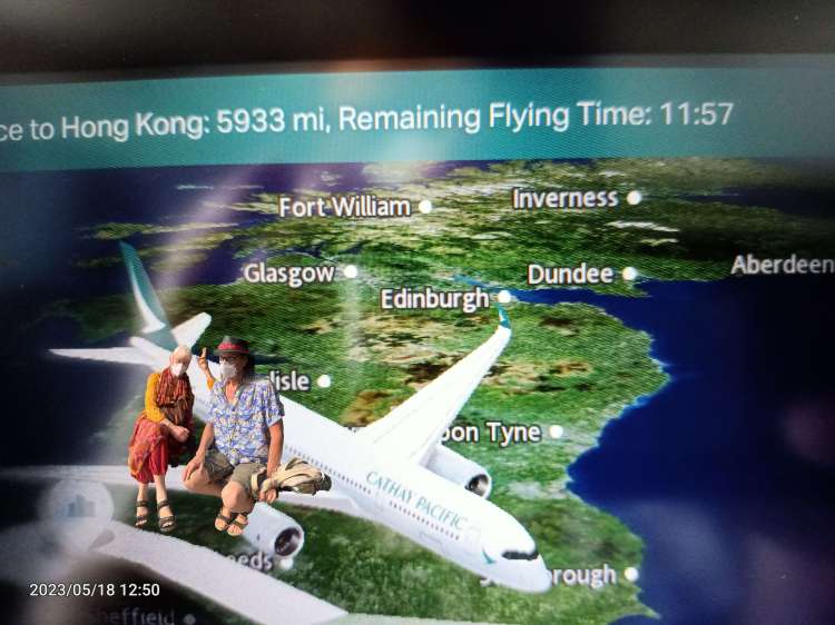 on the wings of a snow white plane