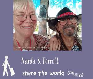 N-T-sharetheworld-logo