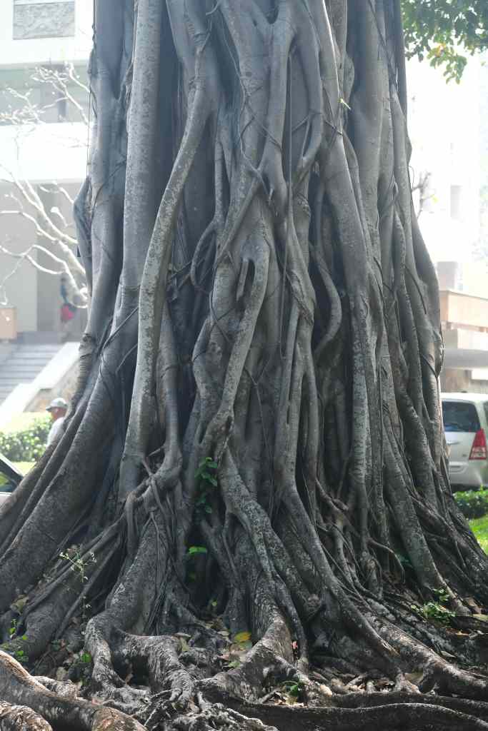 Reunification Convention Hall & surrounds