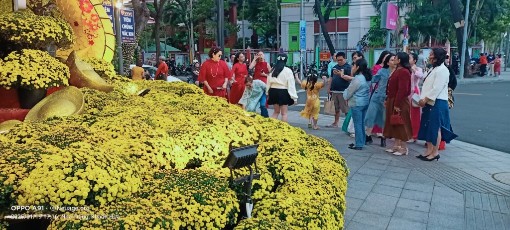 bonsai trees and flowers