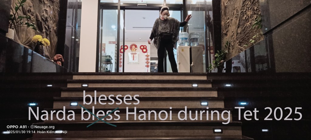 view from our rooftop