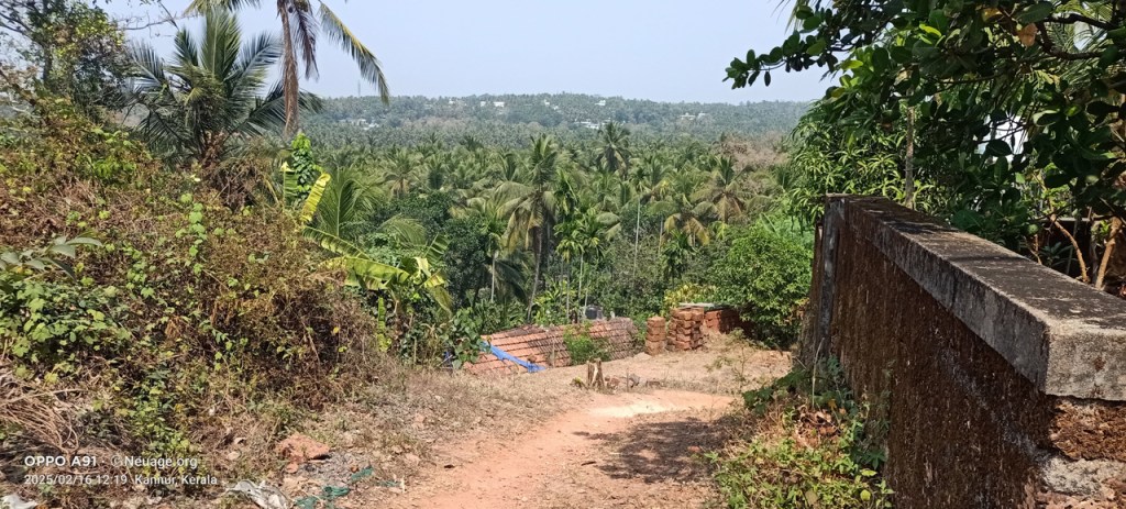 Walking away from the wonderfully isolated Thottada Beach