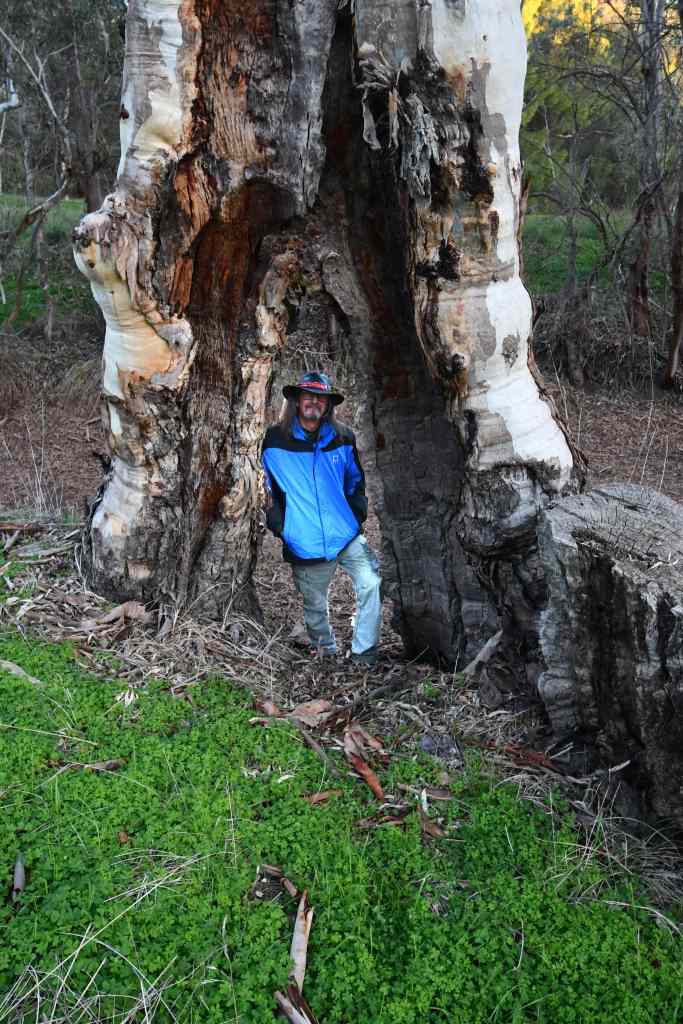 park next between The Wirrabara Silo Art and the Wirrabara Caravan Park