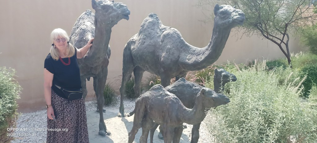 National Museum of Qatar