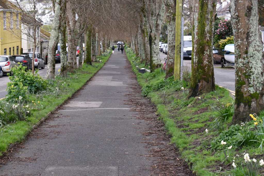 this is the path into town