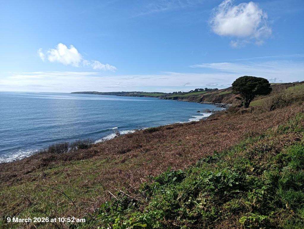 Porthcurnick Beach: Located just north of Portscatho
