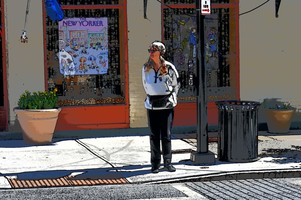 Dutch girl in Dutch Albany