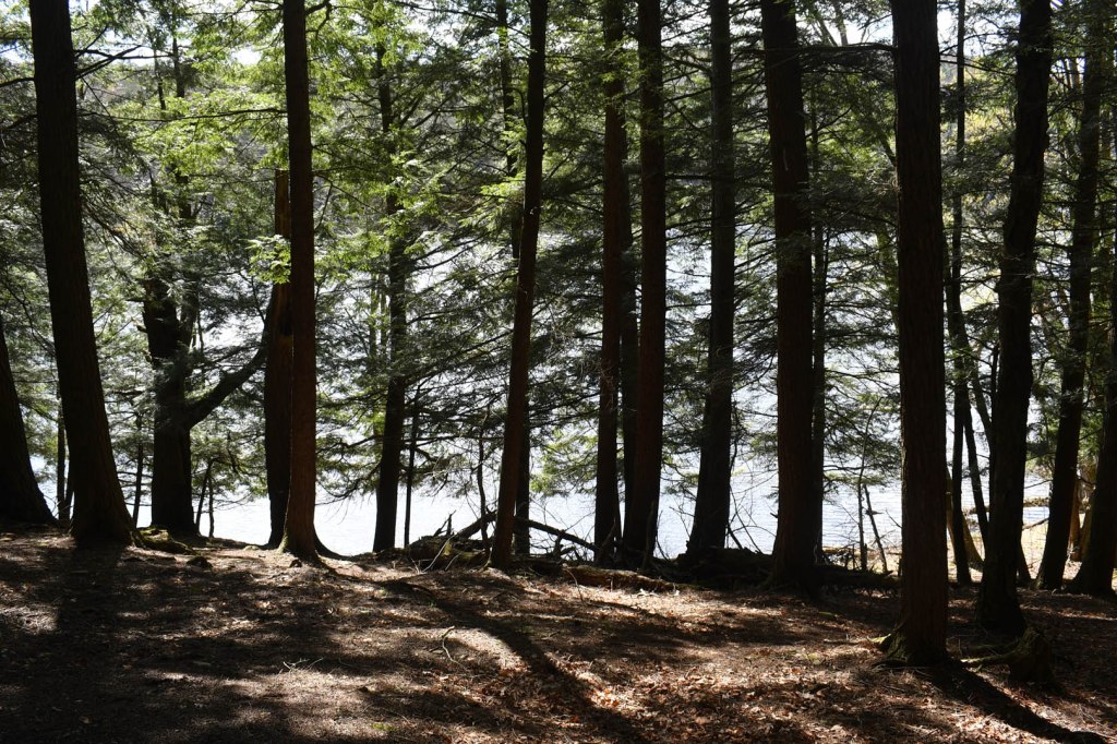 Gilbert Lake State Park