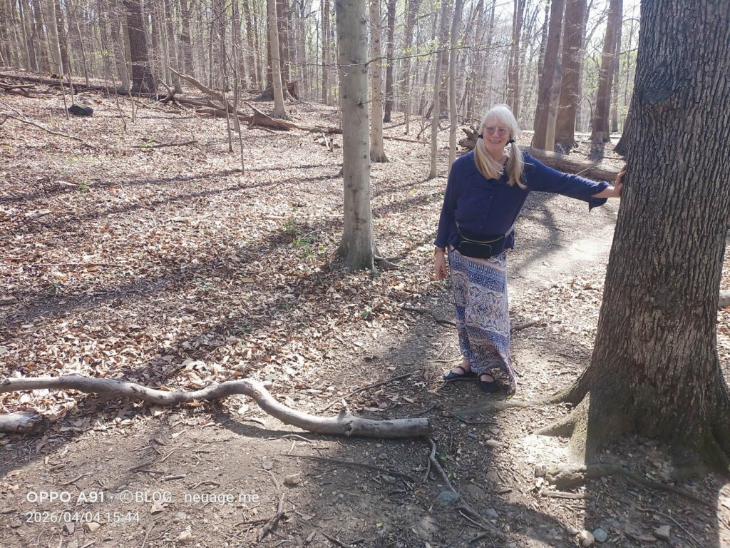 Rock Creek Park