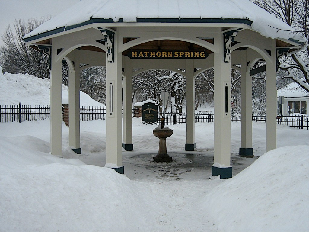 My favourite fountain in Congress Park, Saratoga Spa