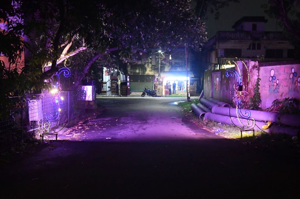 local pandals near our home and decorations for Puja 