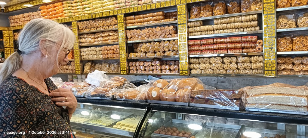 Narda discovers an Indian sweet shop a block from home