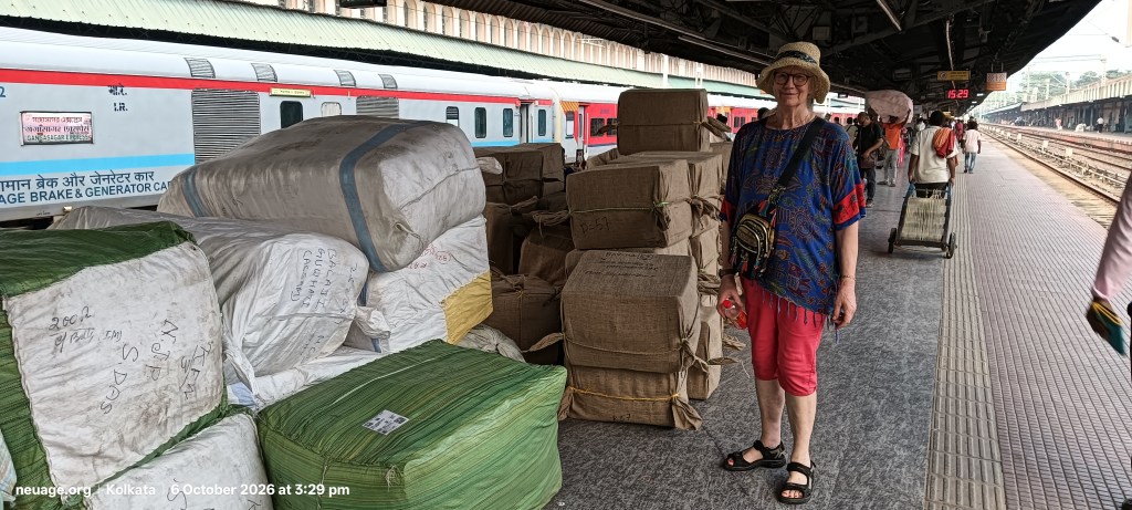 Narda's luggage